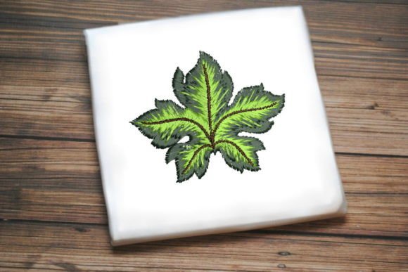 Beautiful Grape Leaf: A Designer’s Review