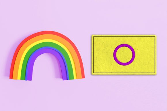 Review: Intersex Pride Flag ITH Feltie Applique
