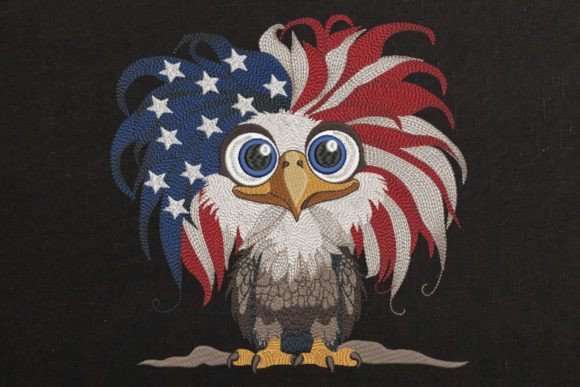 Review: USA Patriotic Eagle Flag on Black for Boutique Sweatshirts