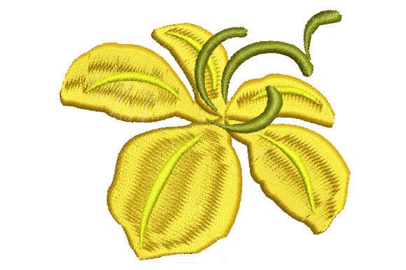 Reviewing Yellow Ratchaphruek Flower for Boutique Sweatshirts
